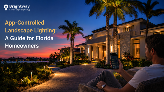 App-Controlled Landscape Lighting: A Guide for Florida Homeowners