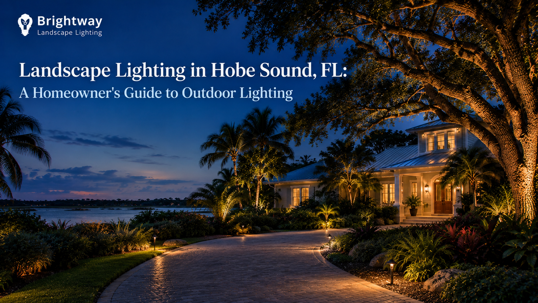 Landscape Lighting in Hobe Sound, FL: A Homeowner's Guide to Outdoor Lighting
