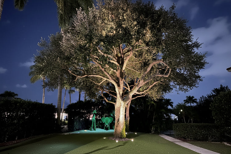 Downlighting or Moonlighting - Brightway Landscape Lighting