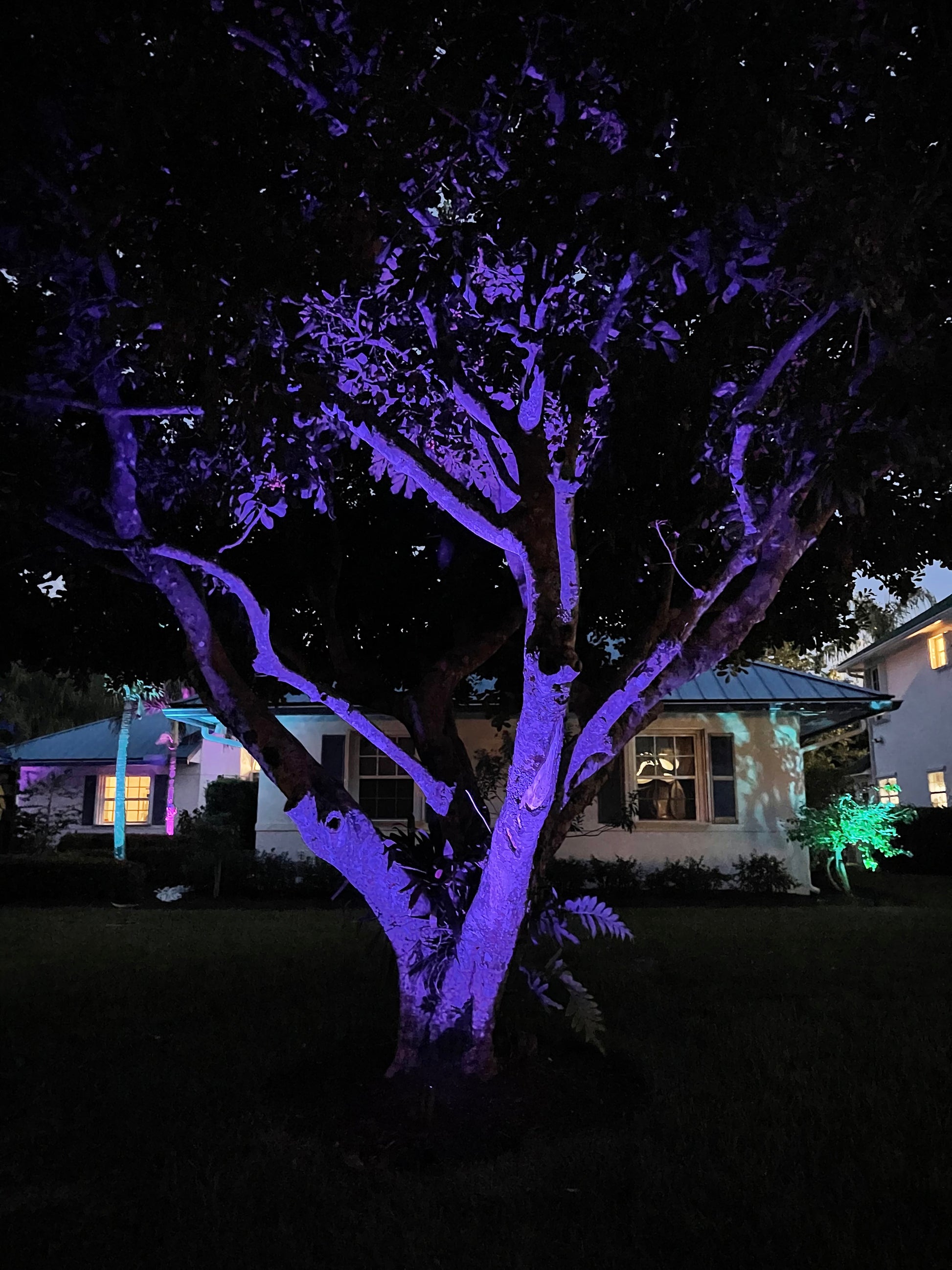 Color changing landscape lights - Brightway Landscape Lighting