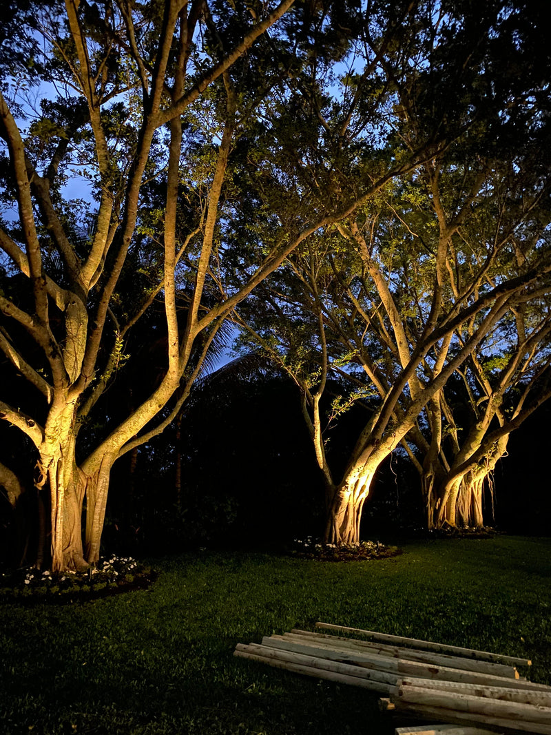 Tree Lighting Solutions