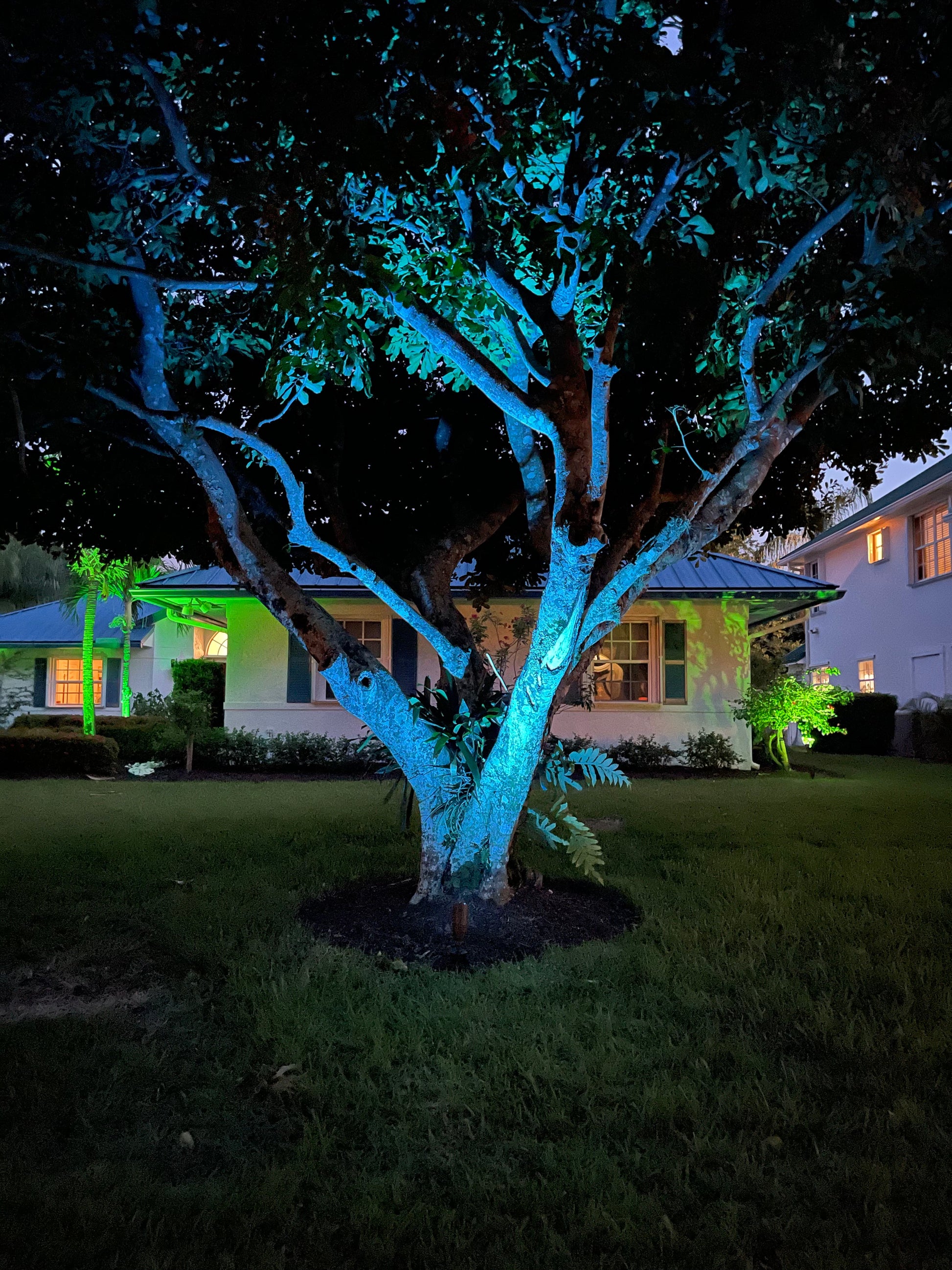 Color changing landscape lights - Brightway Landscape Lighting